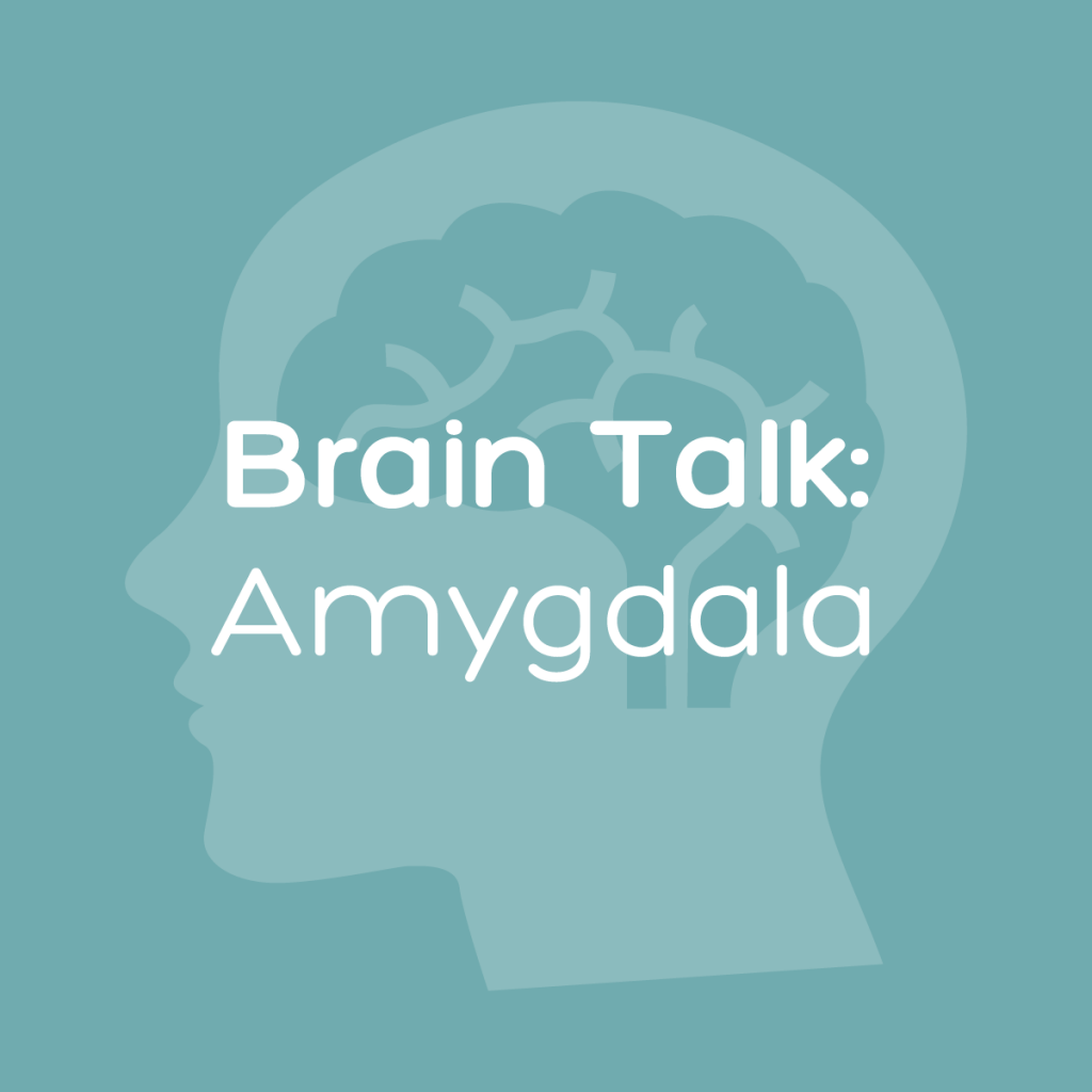 Brain Talk: Amygdala