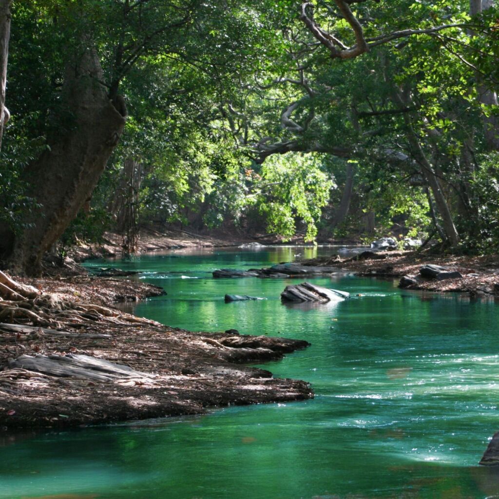 A peaceful, beautiful river