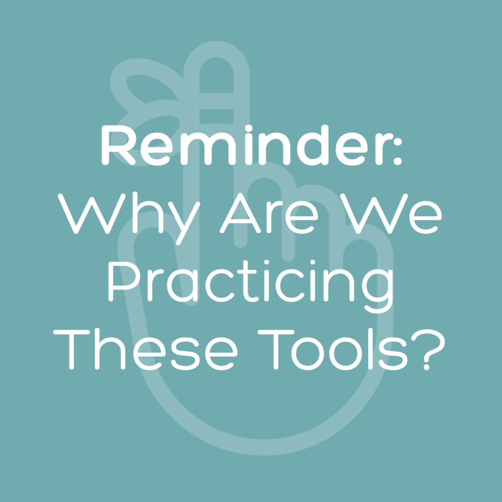 Reminder: Why Are We Practicing These Tools?